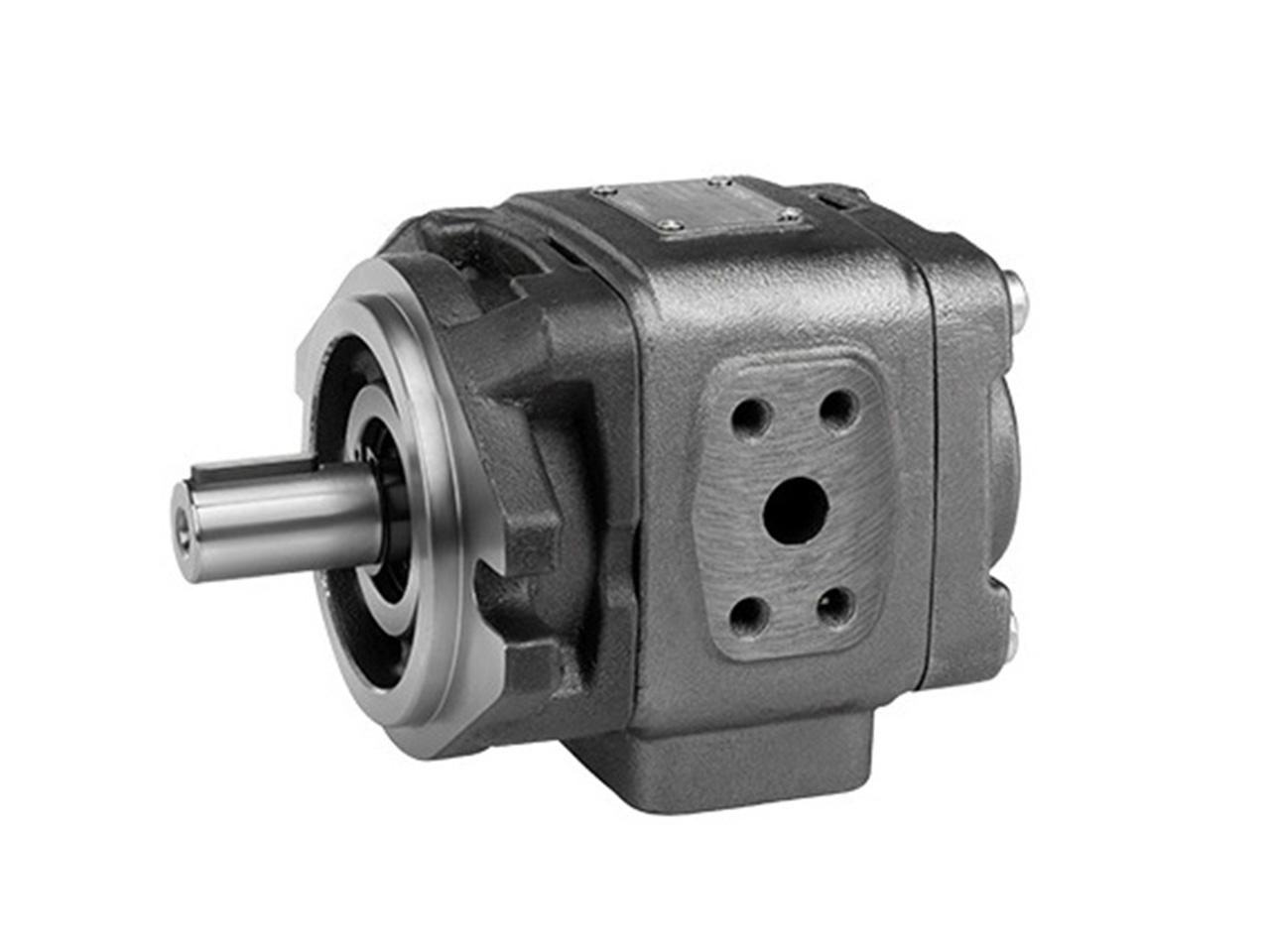 Hydraut internal gear pumps HG