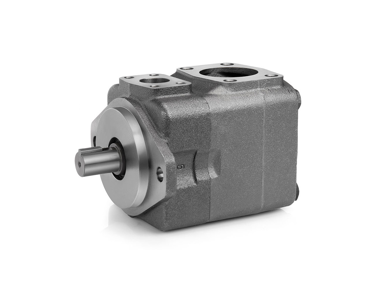 Hydraut HS-HQ vane pumps