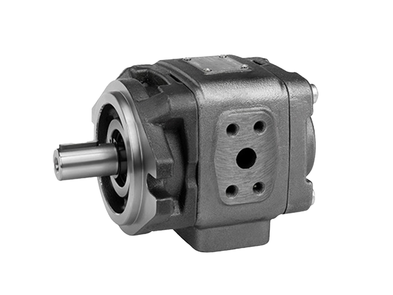 HG series internal gear pumps